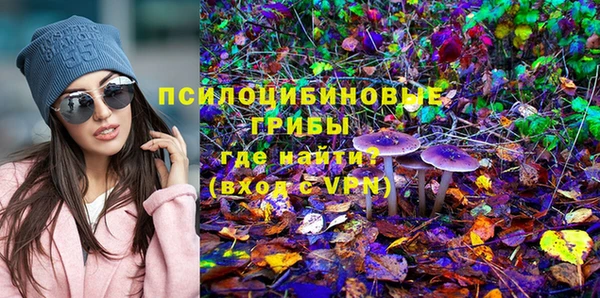 мяу мяу кристалл Липки