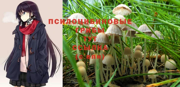 бошки Магадан