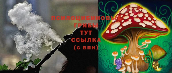 PSILOCYBIN Лихославль