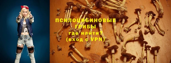 бошки Магадан