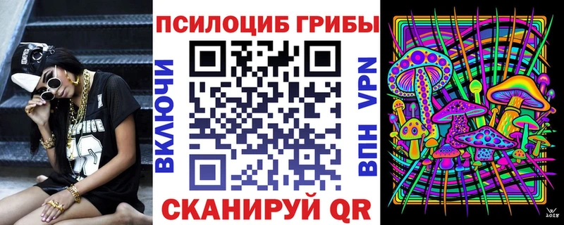 Псилоцибиновые грибы мицелий  где найти наркотики  Владимир 