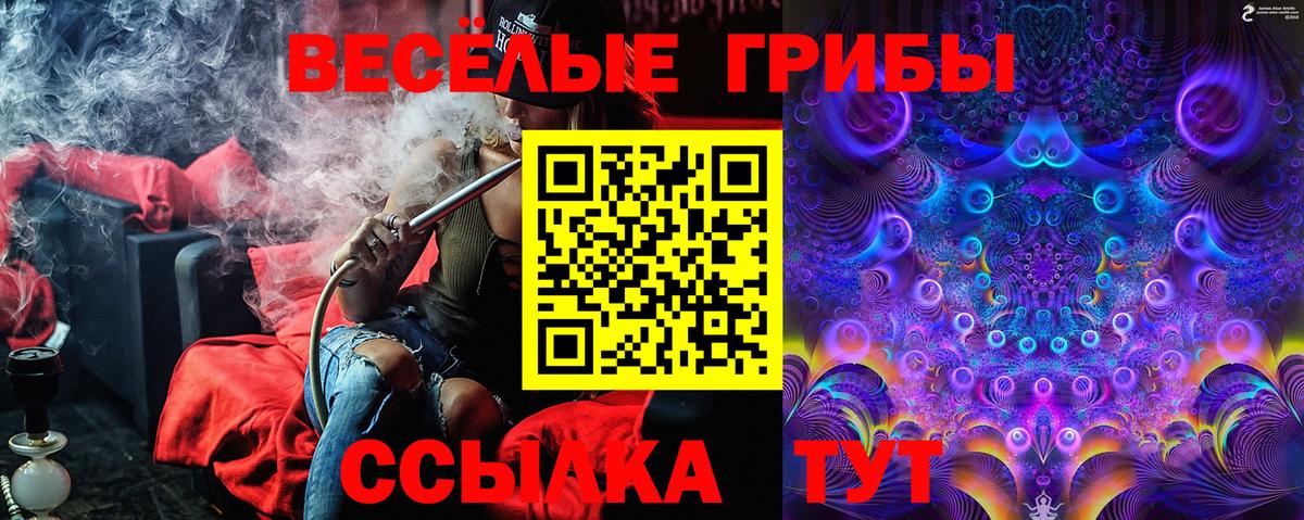 Галлюциногенные грибы Psilocybine cubensis  Вход с VPN  Владимир  Псилоцибиновые грибы Psilocybe 