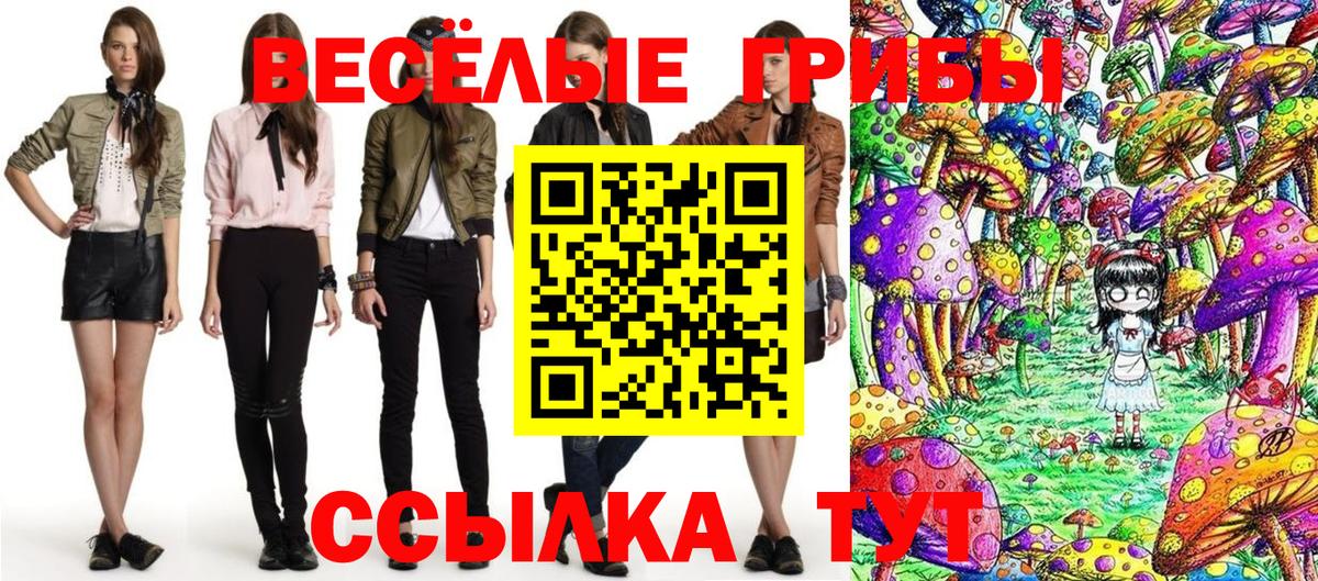 Псилоцибиновые грибы Magic Shrooms  Галлюциногенные грибы ЛСД  Владимир 