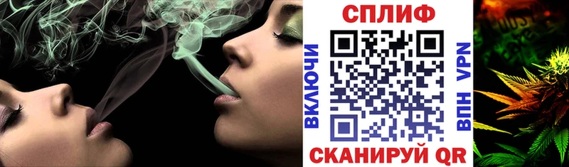 где найти наркотики  Владимир  Конопля индика 