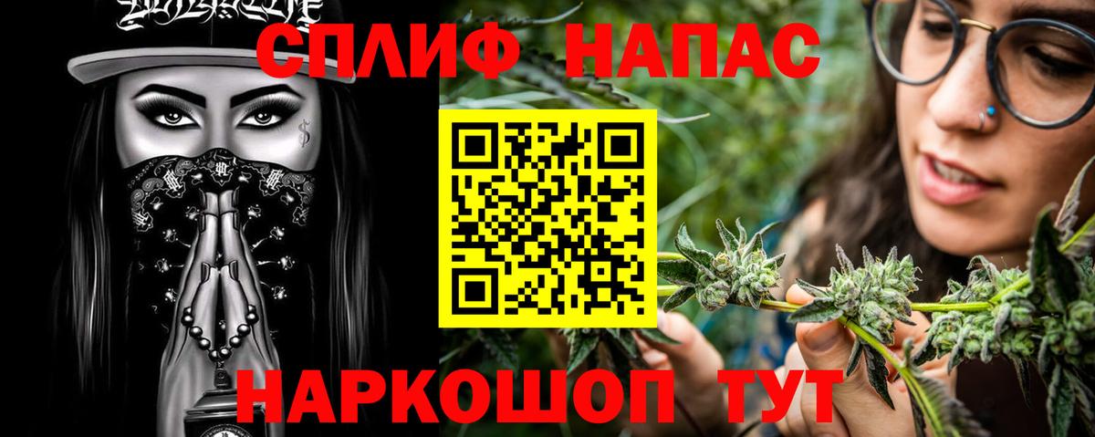 Канабис сатива Владимир